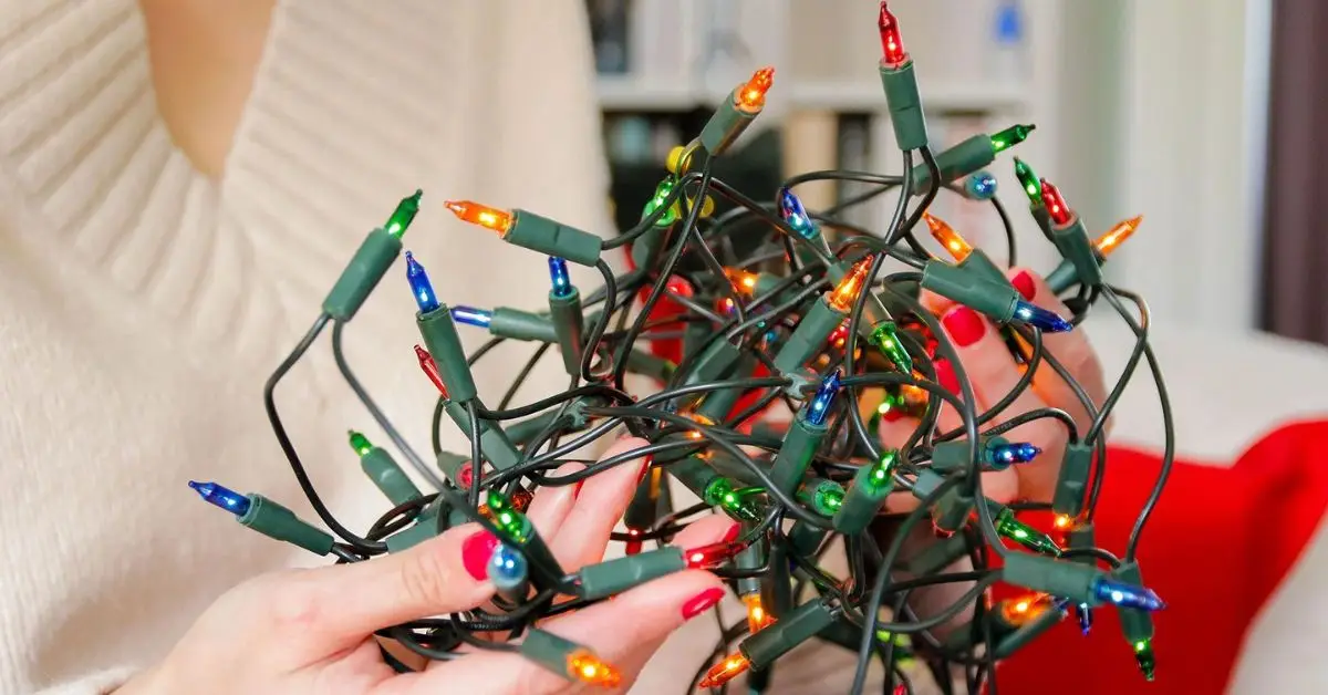 clean or fix in december