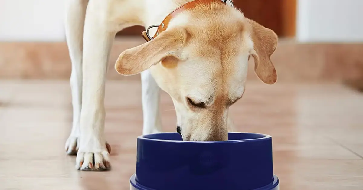 germ hotspots in home