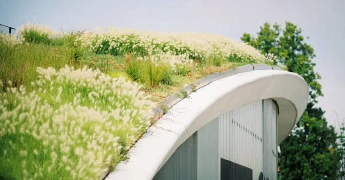 green roof benefits