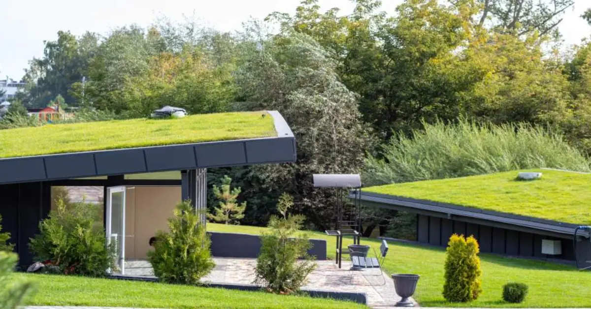 green roof benefits