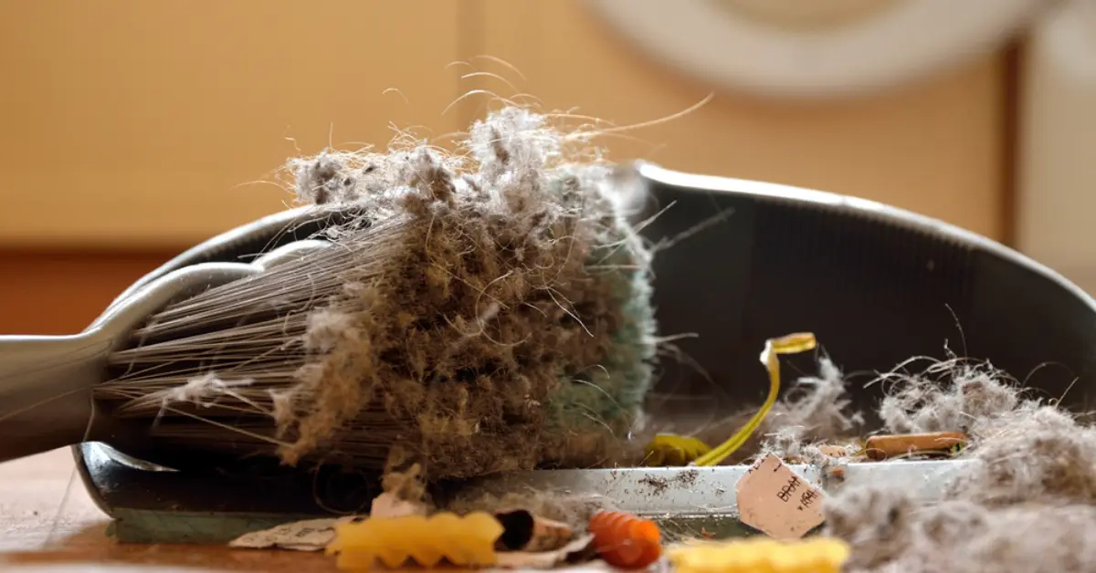 hidden places allergens hide in your house