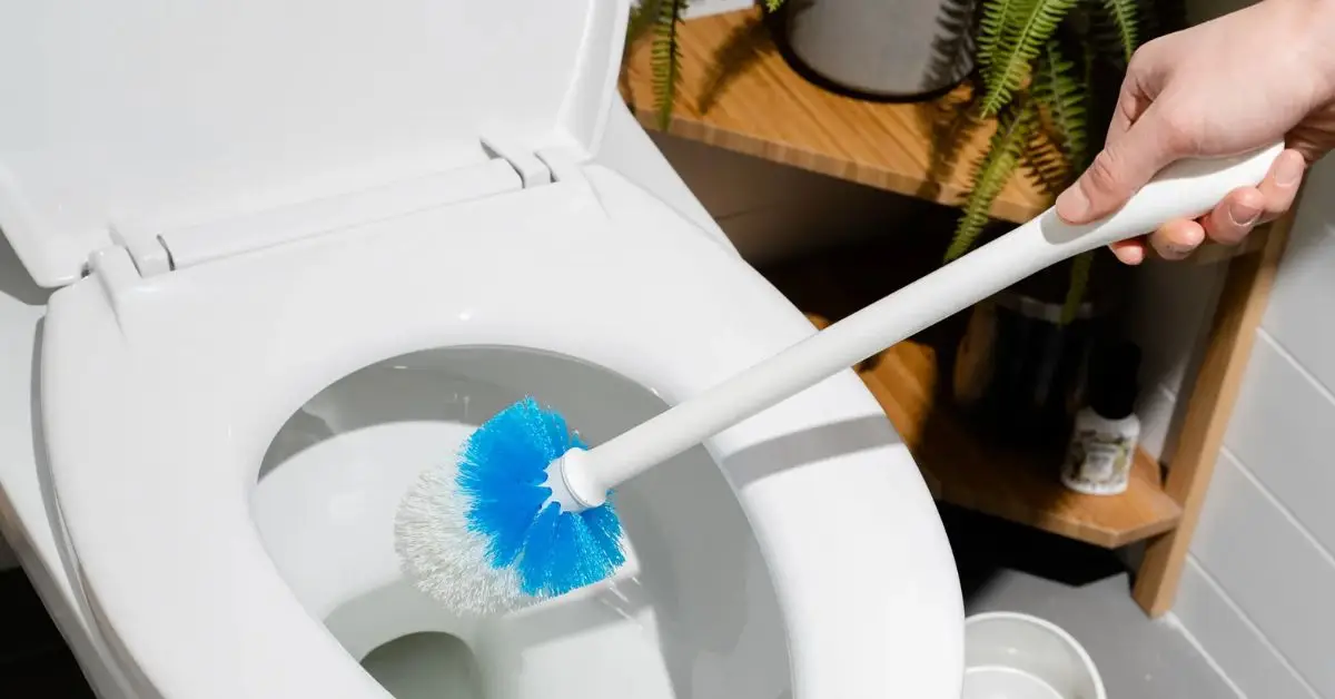 how to clean a toilet bowl with baking soda