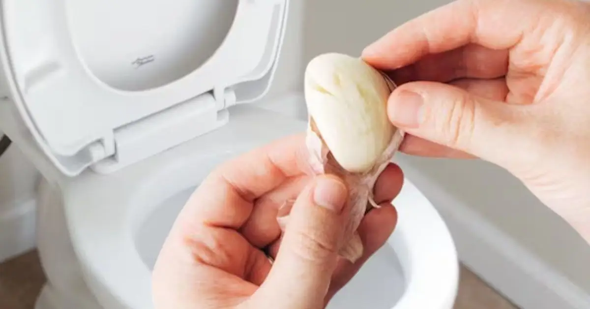 how to keep toilet water fresh