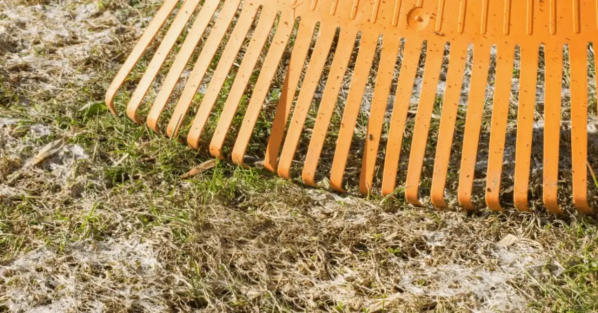 how to winterize lawn