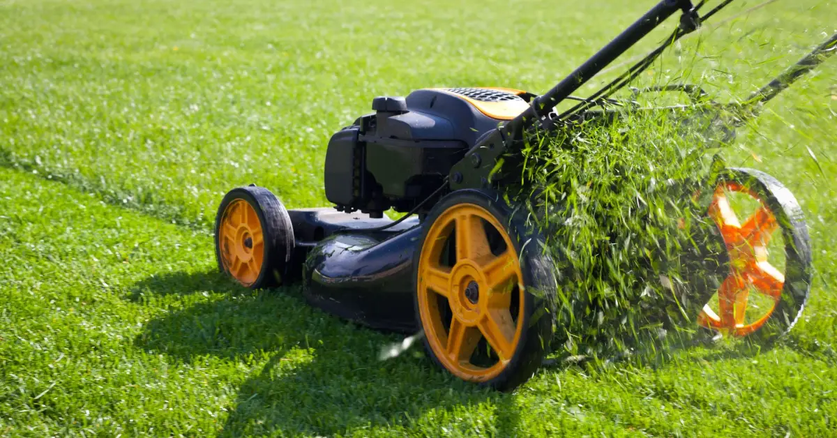 how to winterize lawn