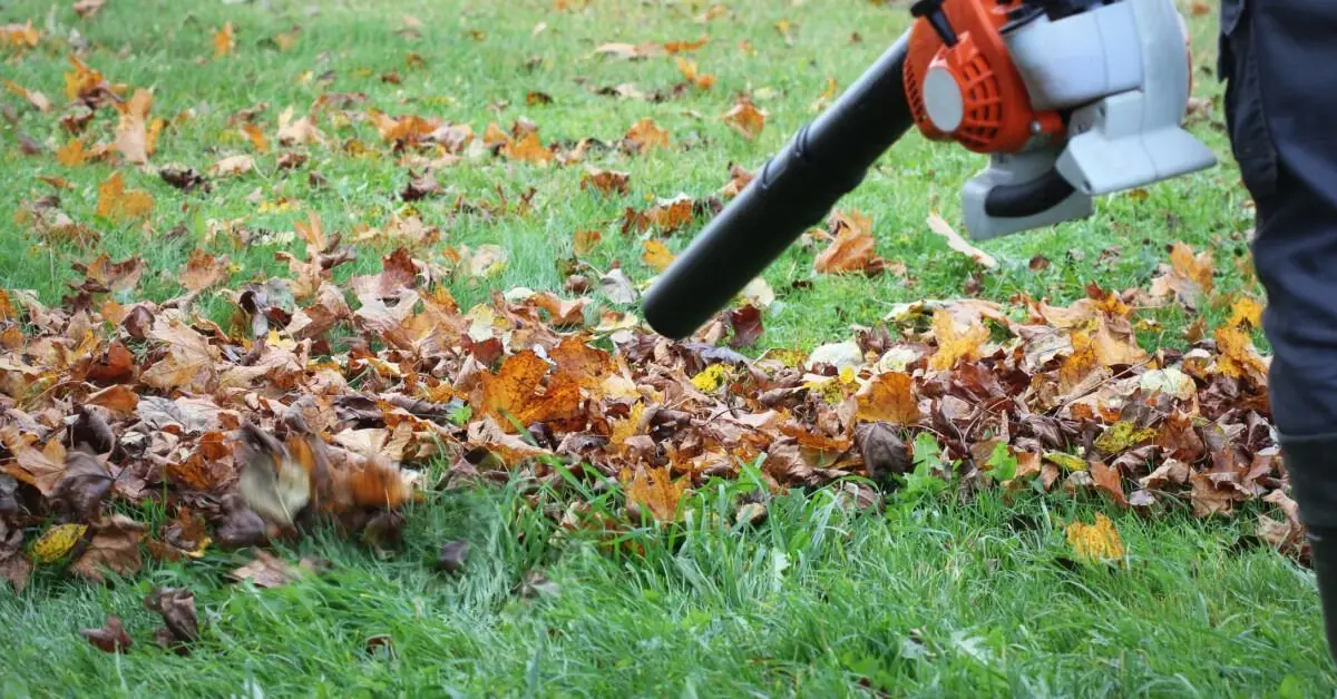 leaf blower etiquette