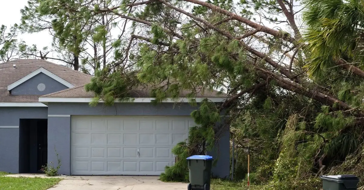 neighbor’s tree fell in my yard who is responsible