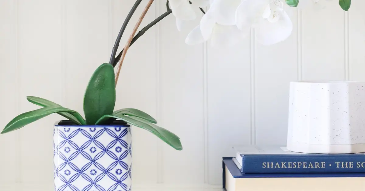 no touch no thought rule of declutter