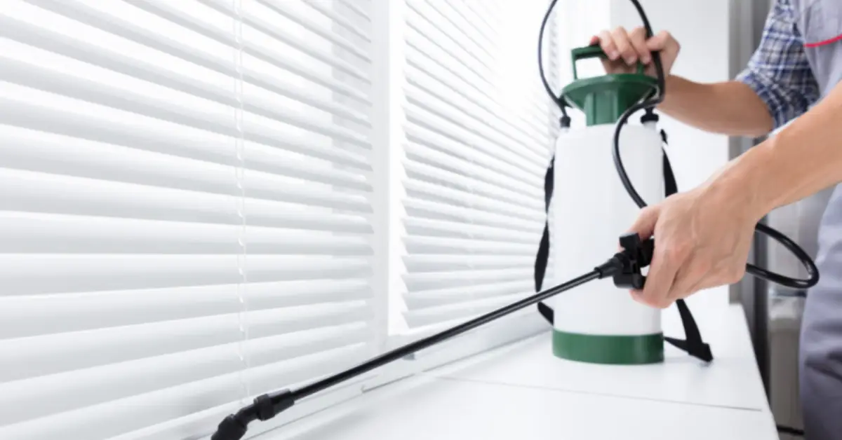 pest control tips for home all year