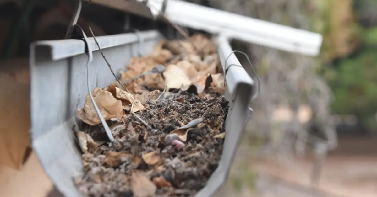 signs your gutters need cleaning