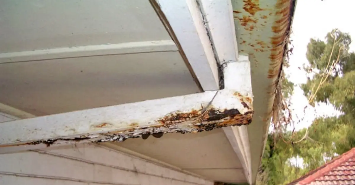 signs your gutters need cleaning