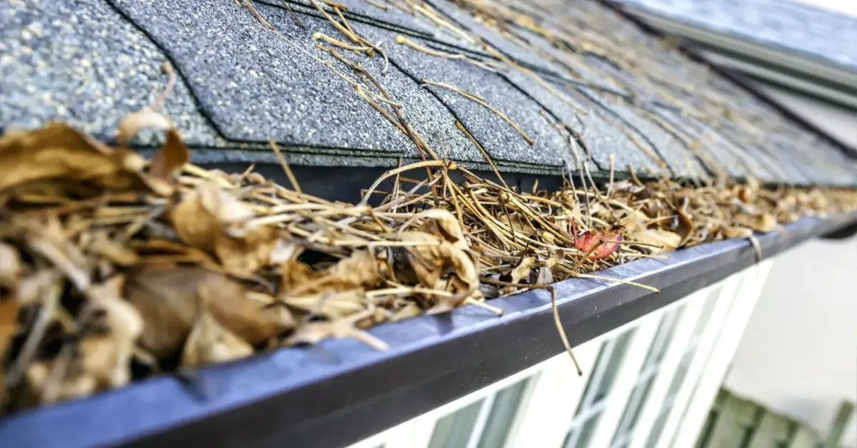 signs your gutters need cleaning