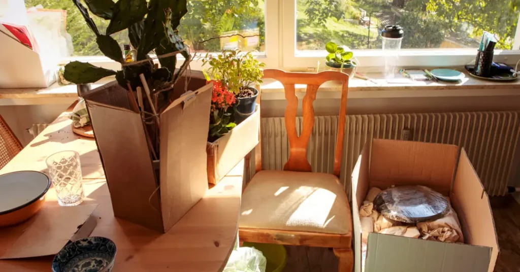 spring declutter tips