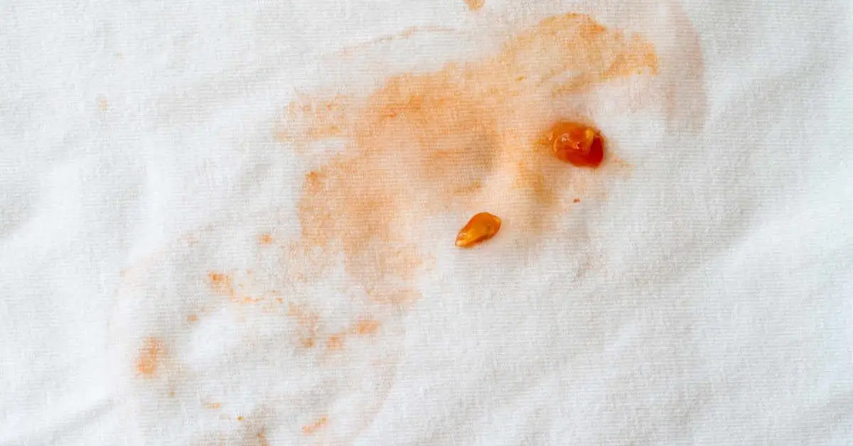 thanksgiving stains removal