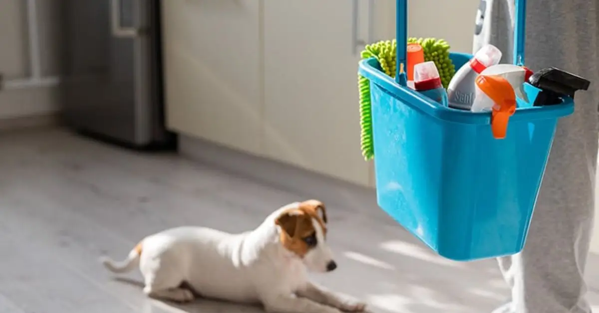 what cleaning products are toxic to pets