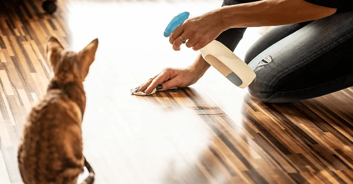 what cleaning products are toxic to pets