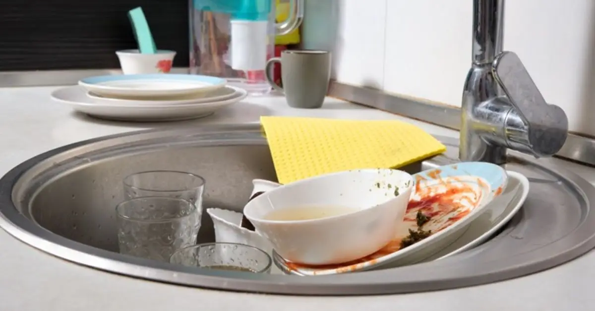 why you shouldn’t leave dirty dishes overnight