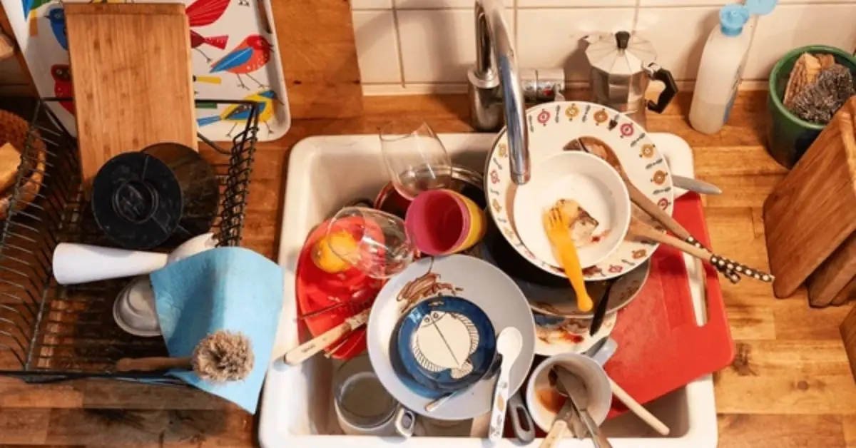 why you shouldn’t leave dirty dishes overnight