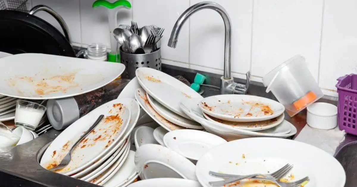 why you shouldn’t leave dirty dishes overnight