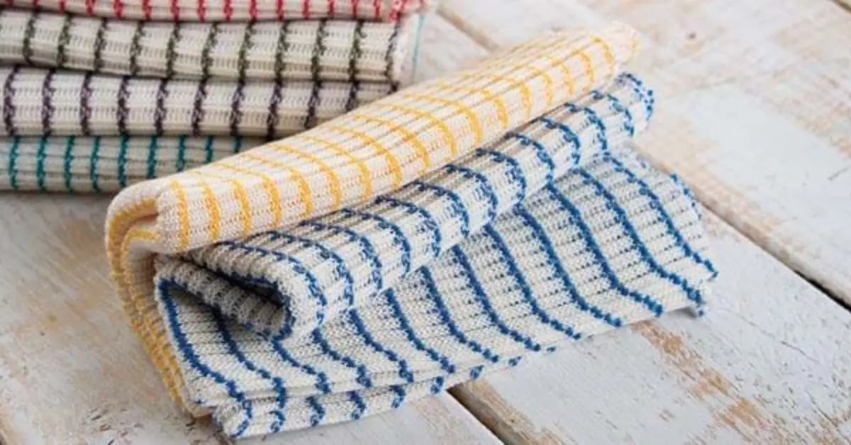 Are dish rags better than paper towels for cleaning counters