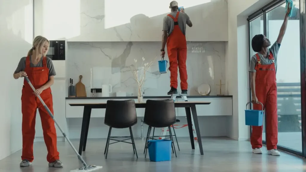 Home Cleaning Mistake