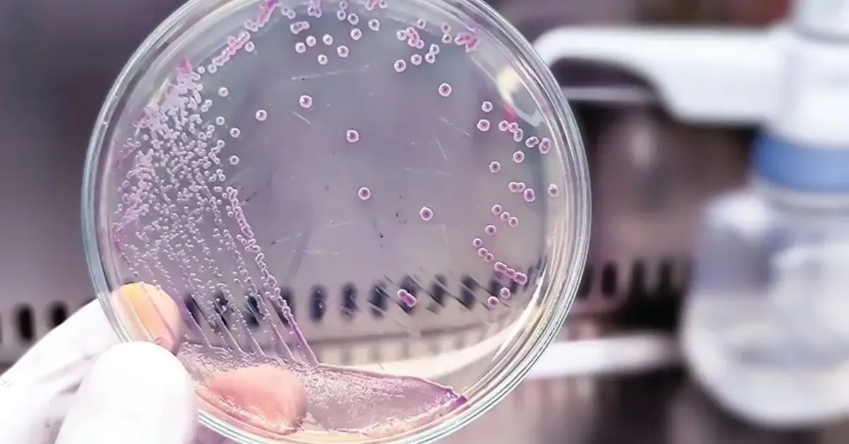 Kitchen Cleaning Mistakes