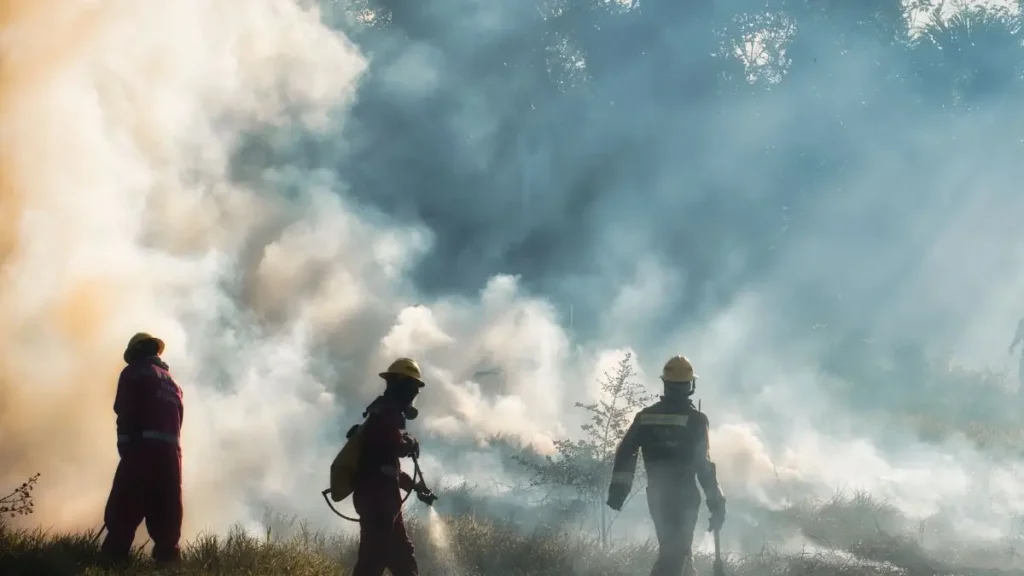 North Fort Myers House Fire