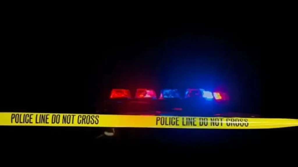 Seaford Home Invasion