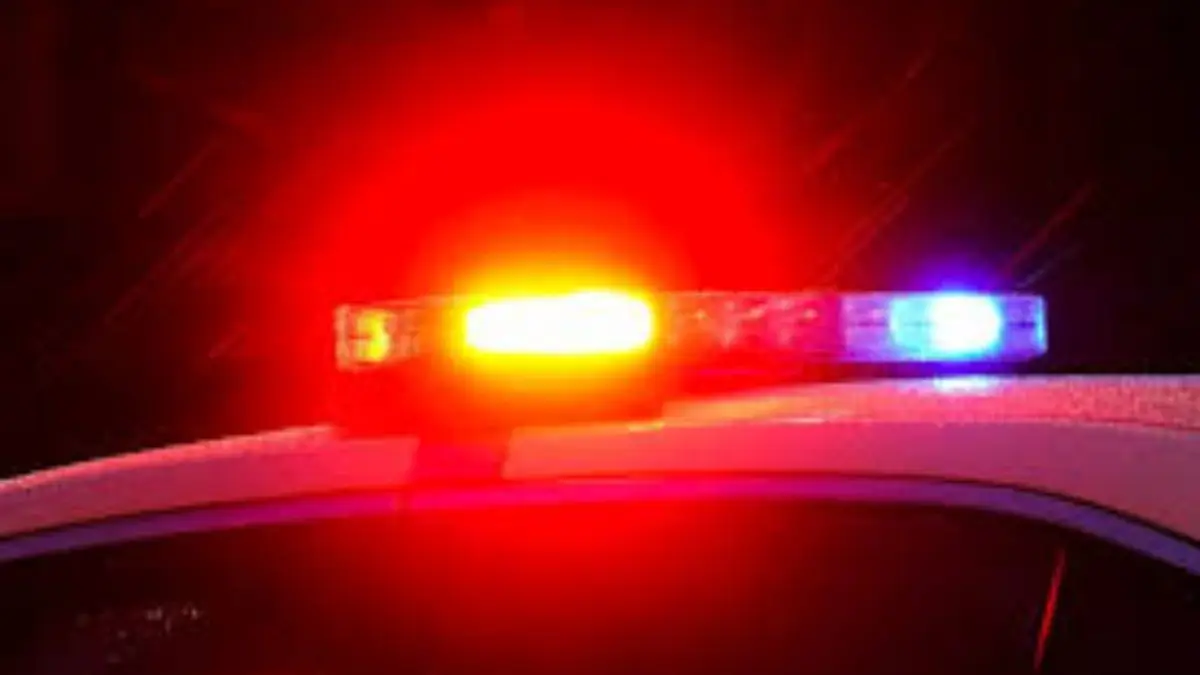 Seaford Home Invasion