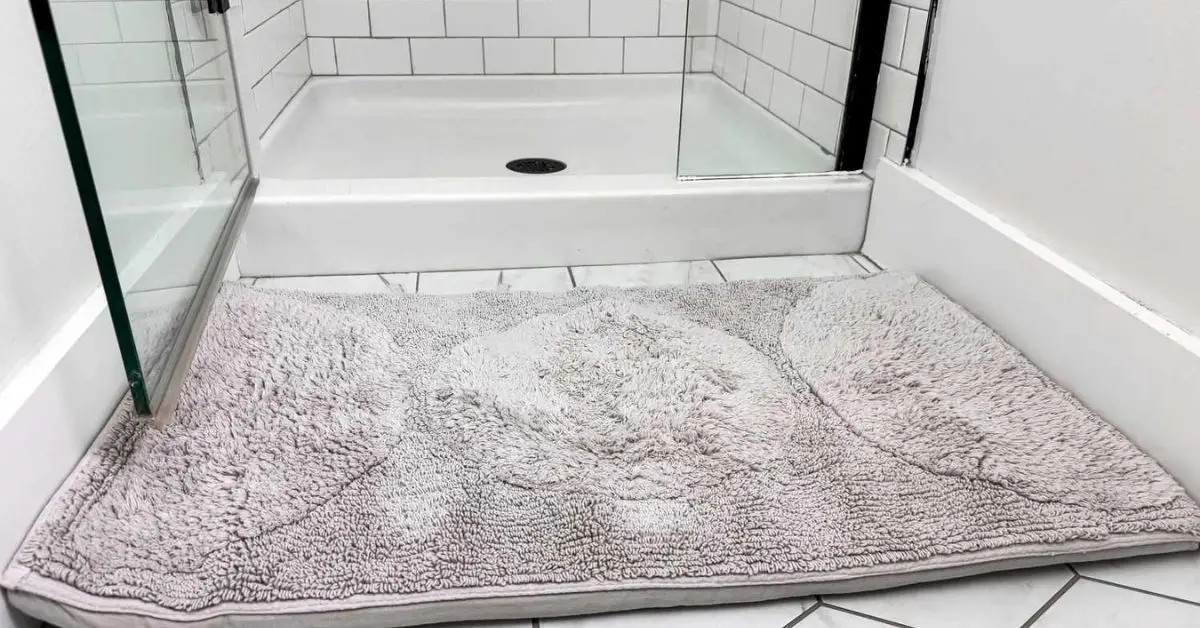 bathroom mold after shower