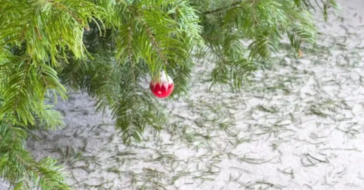 christmas tree safety