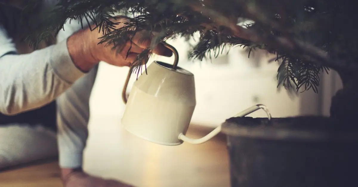 christmas tree safety