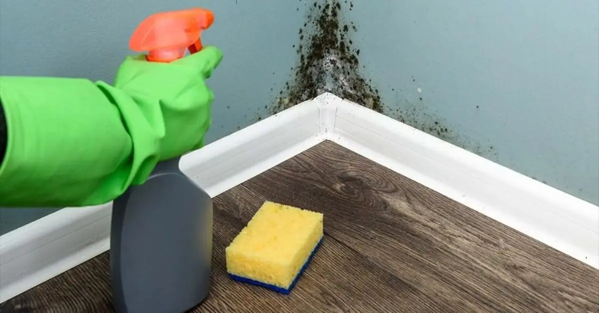 cleaning habits that make you sick