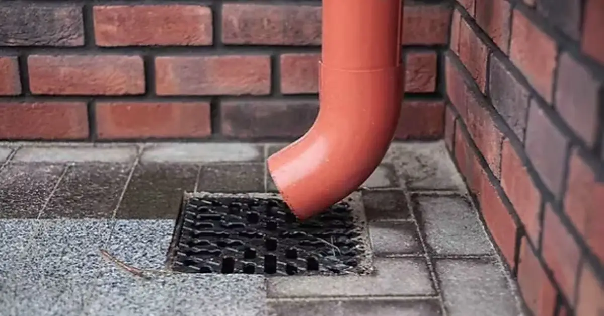 cleaning tasks that prevent home disasters