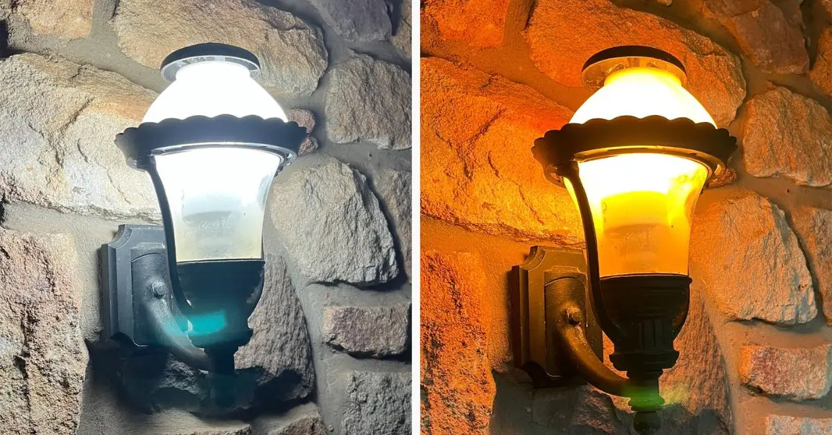 common mistakes that attract spiders