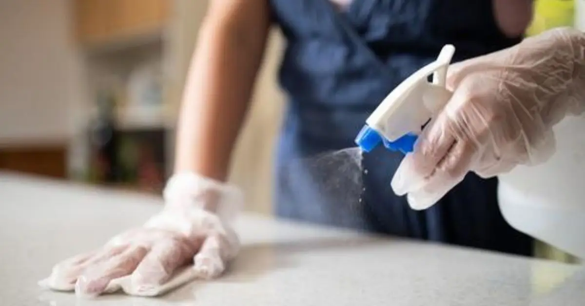 get rid of dog smell in house