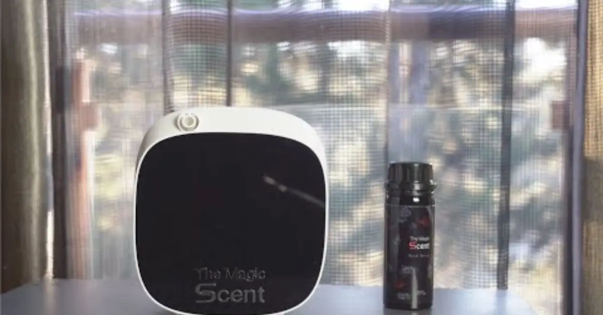 get rid of dog smell in house