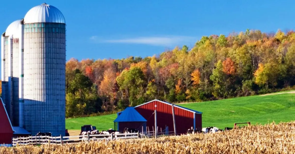 how to buy a house with 0 down