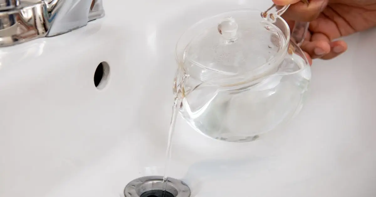 how to get rid of drain flies