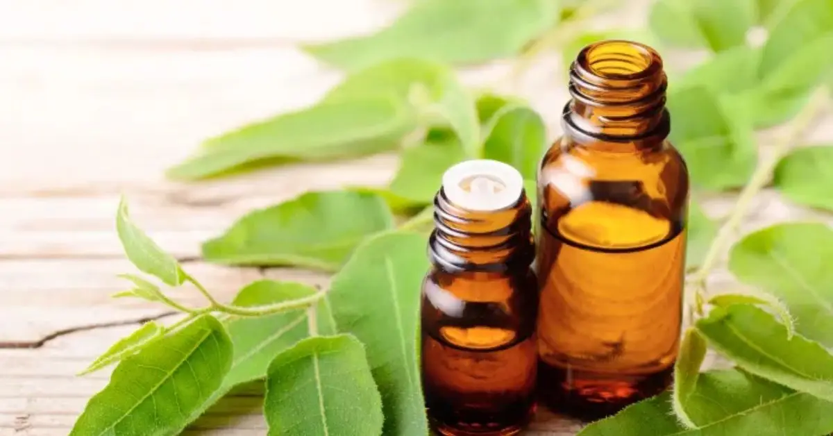 how to get rid of drain flies