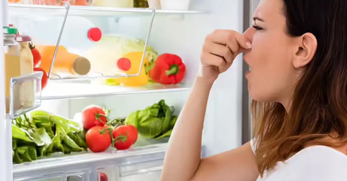 how to remove fridge smells