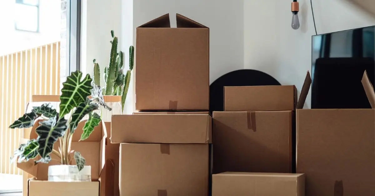 no contact decluttering method