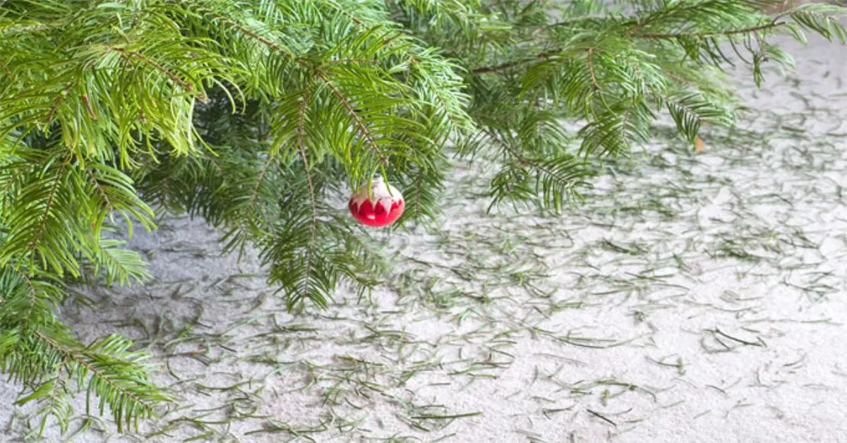 prevent Christmas tree needles on floor