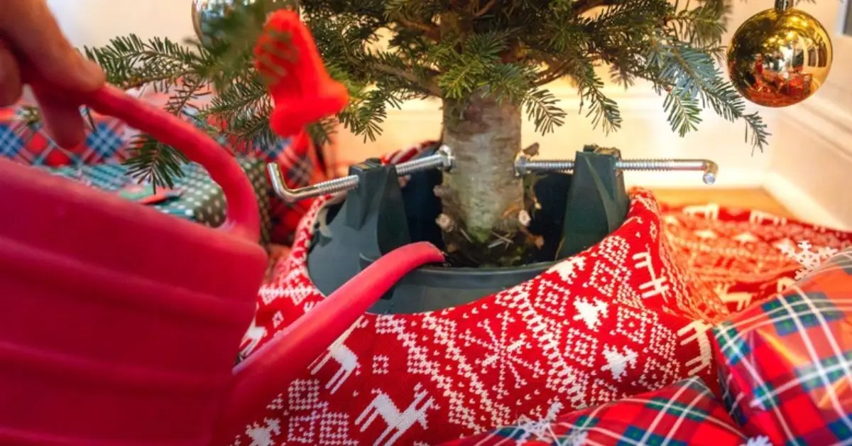 prevent Christmas tree needles on floor