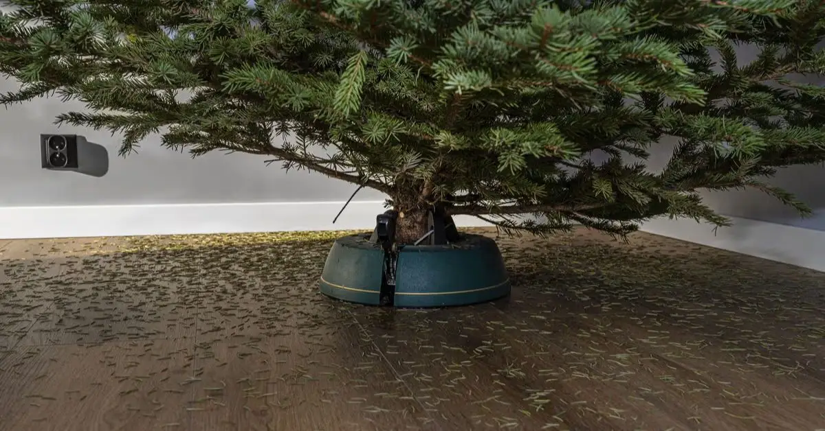 prevent Christmas tree needles on floor