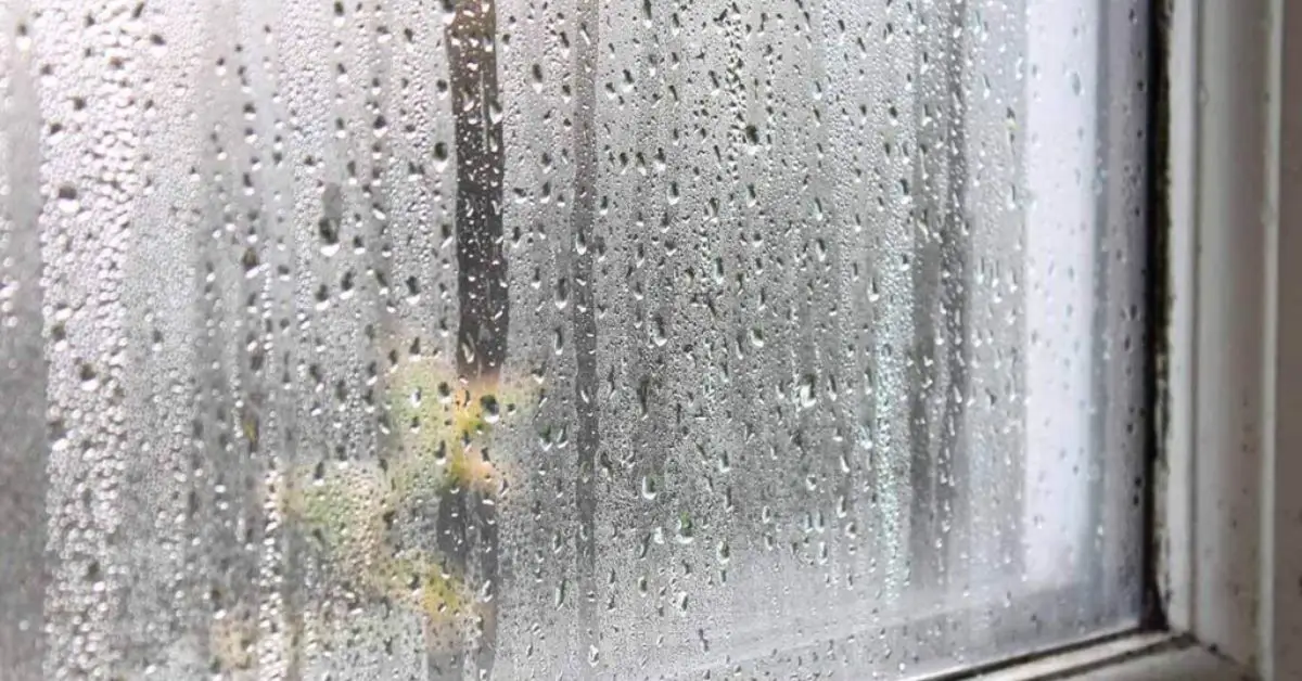 signs your pipes need insulation