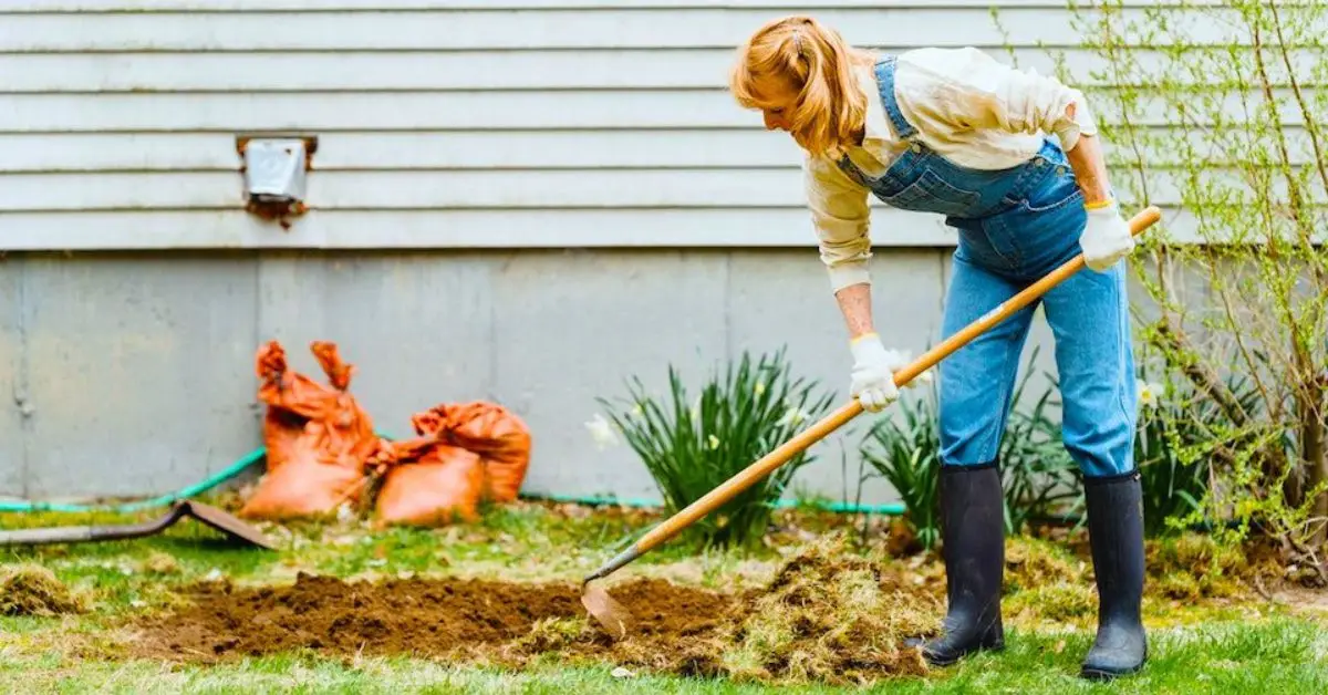 spring cleaning mistakes that attract pests