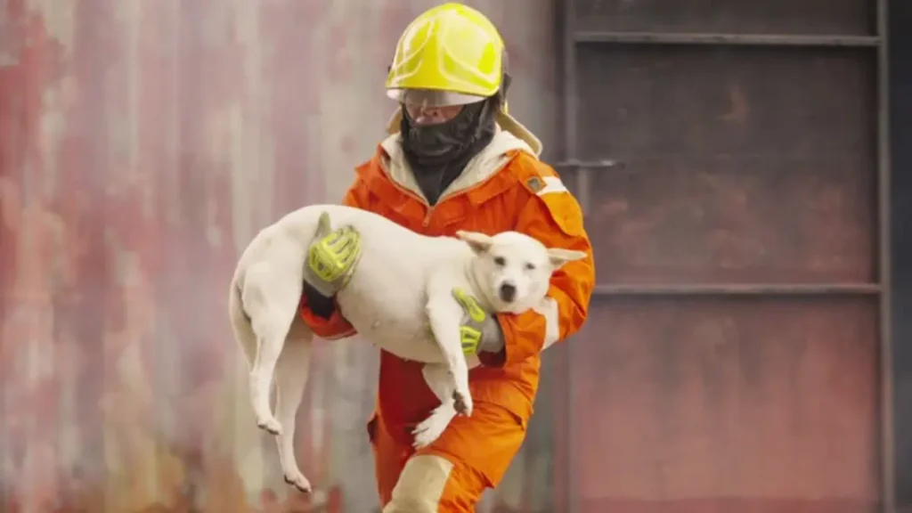 Anderson County House Fire