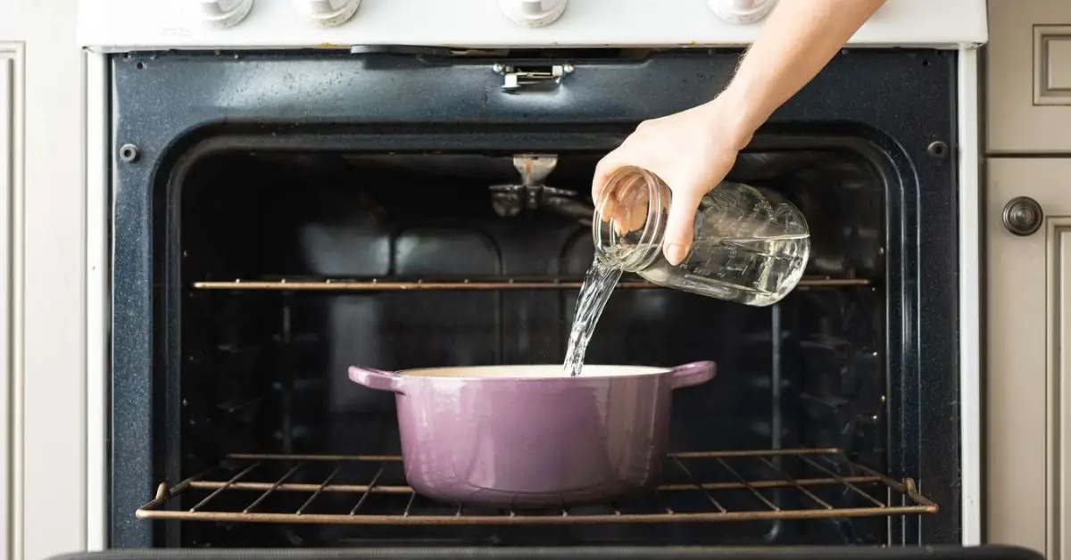 Oven Glass Cleaning Hacks