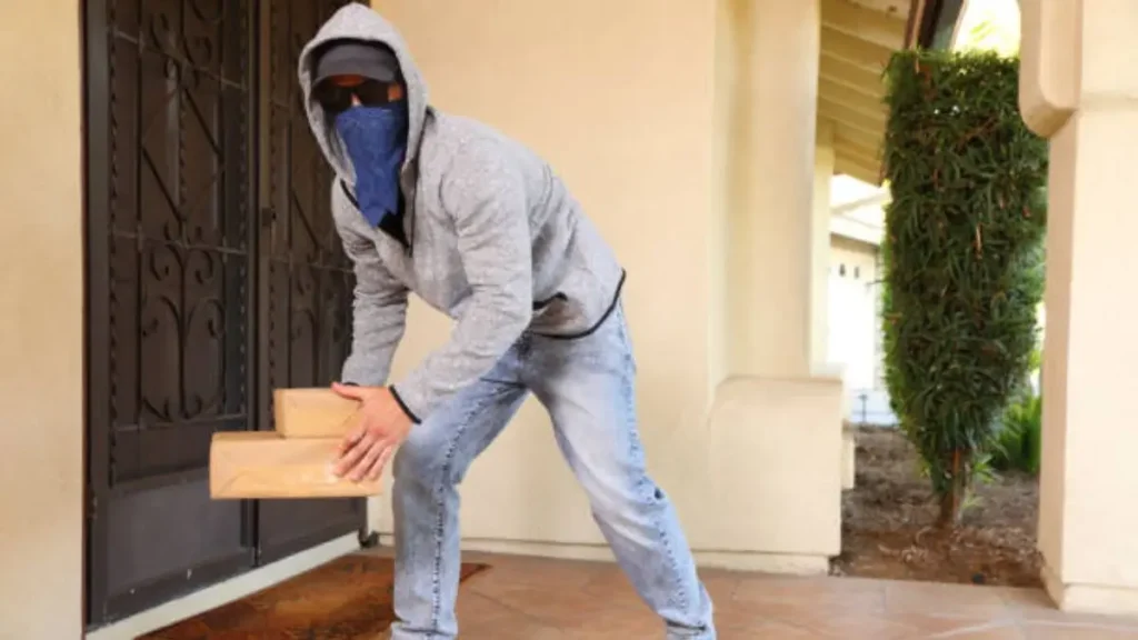 Porch Pirate Theft Top States